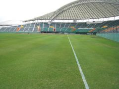 写真:プロ野球キャンプ整備事業